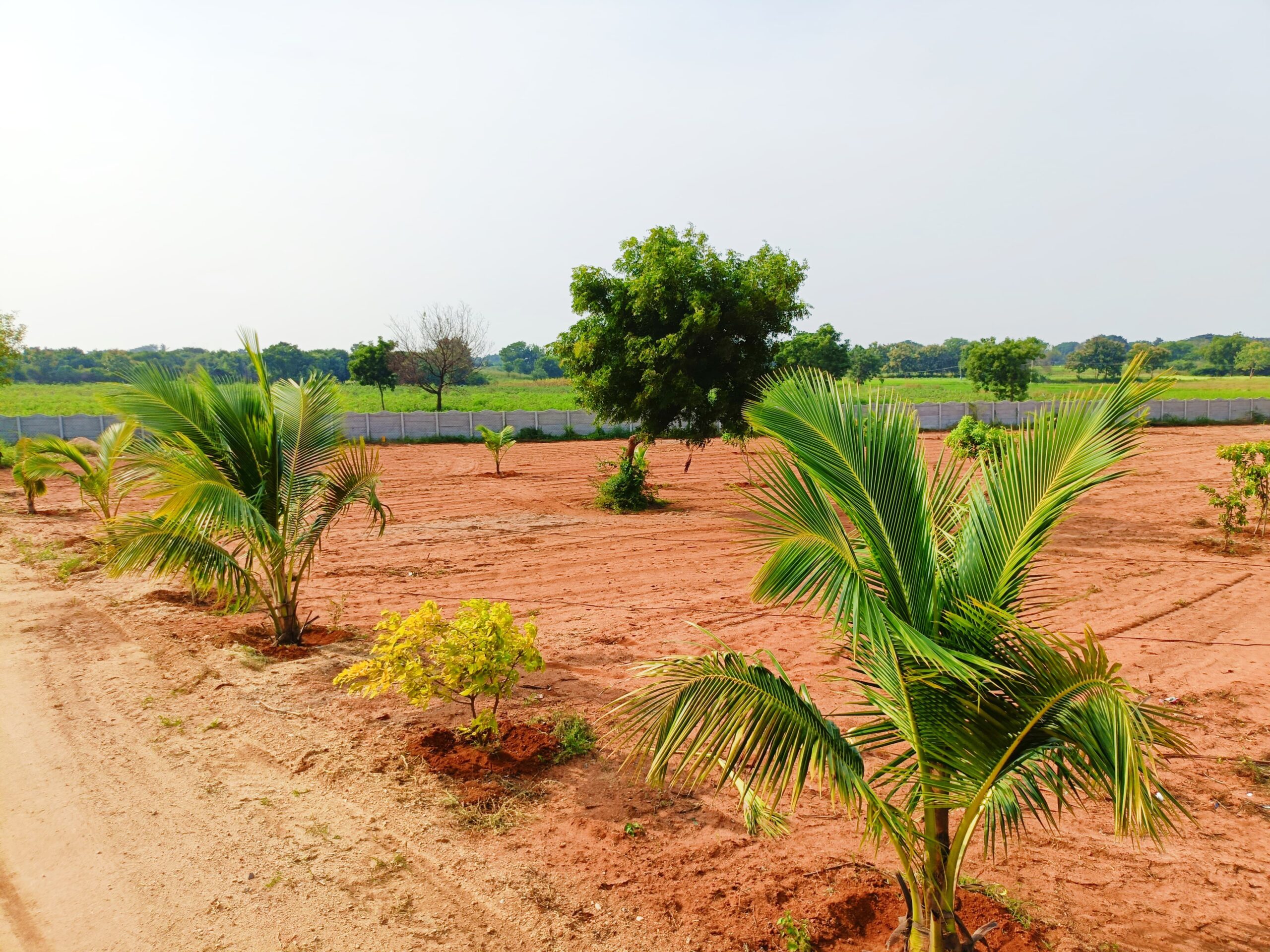 amenities for resort