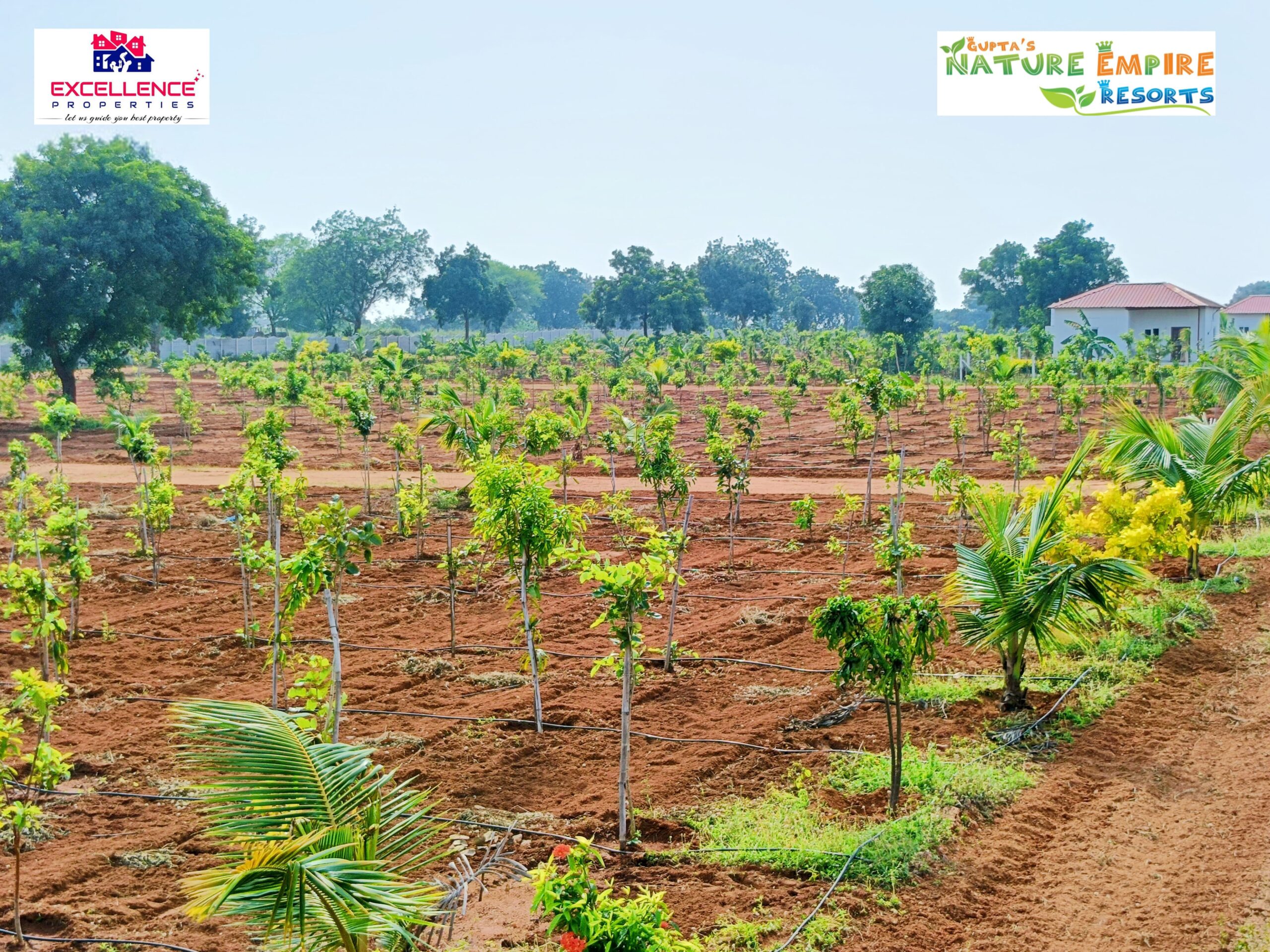 farm land plots in hyderabad